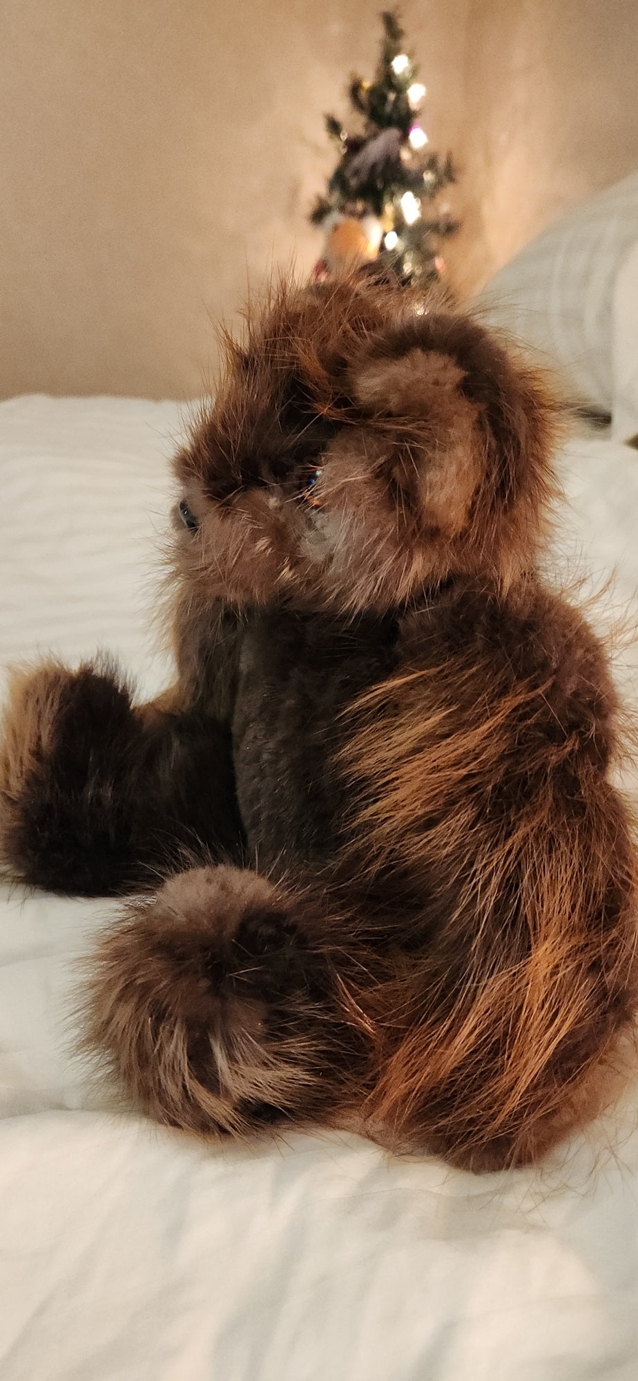 Beaver Fur Teddy Bear,  7 inch