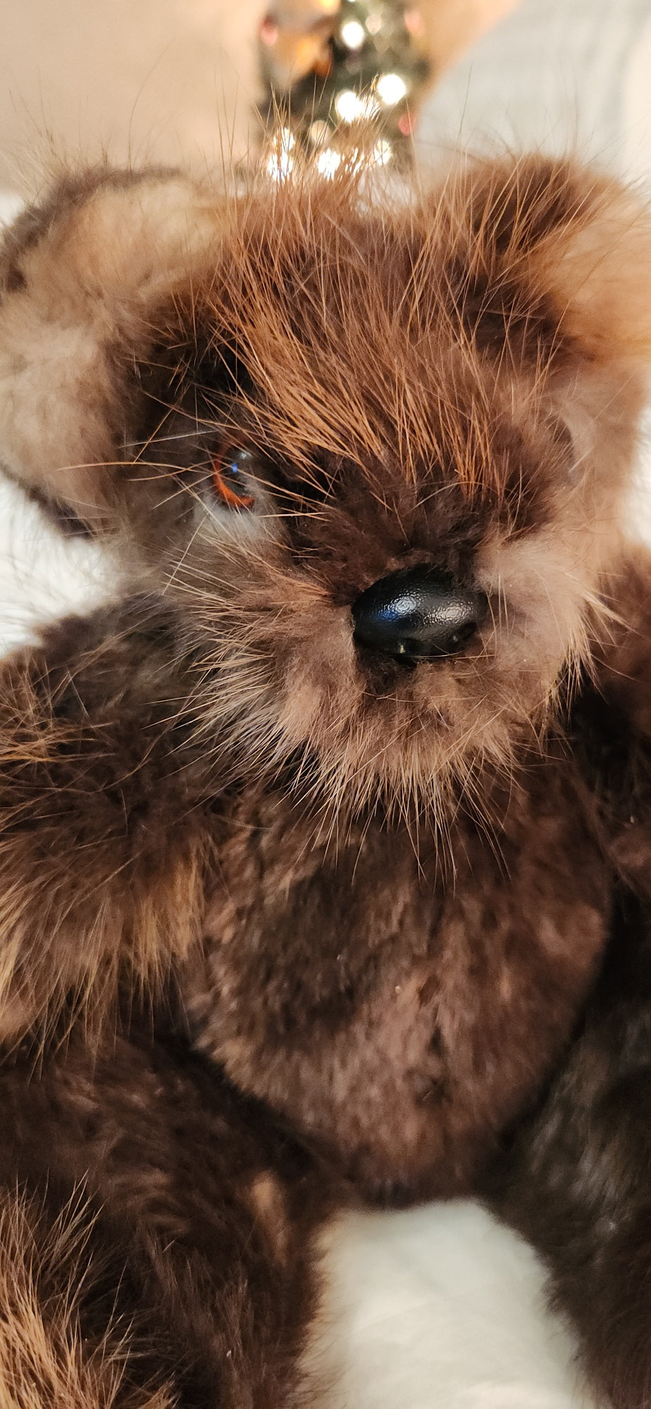 Beaver Fur Teddy Bear,  7 inch