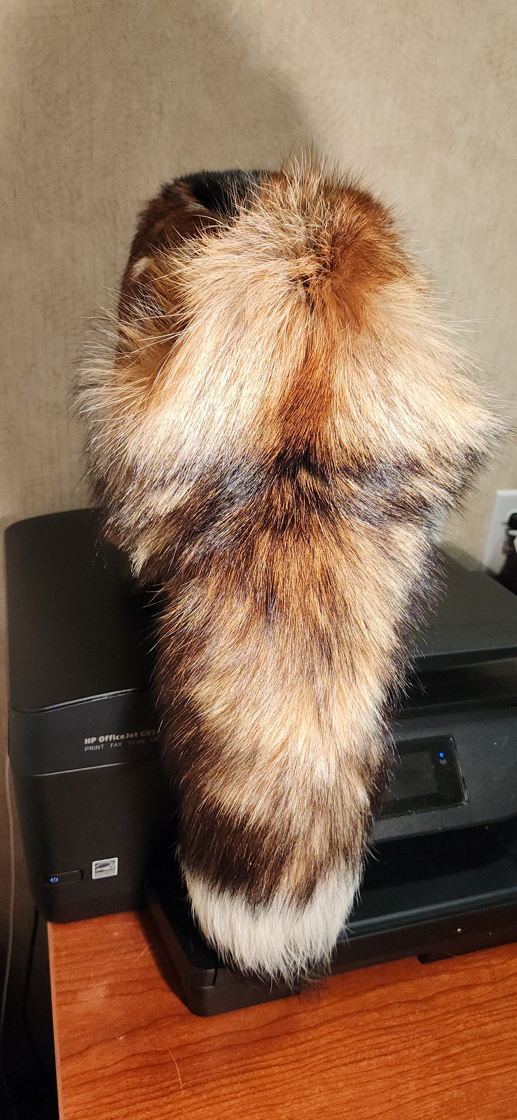 Large AXIS Deer Alaska Trapper's Hat
