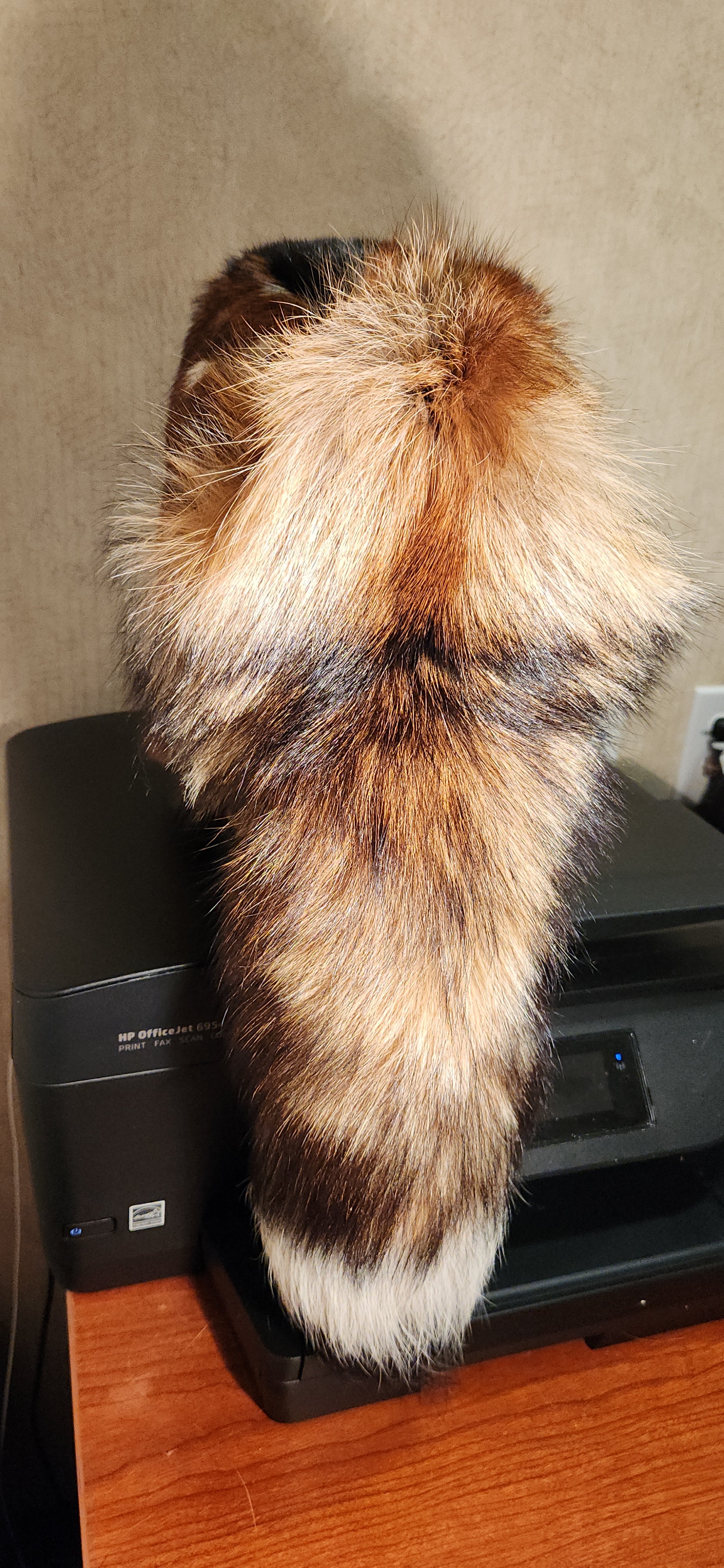 Large AXIS Deer Alaska Trapper's Hat