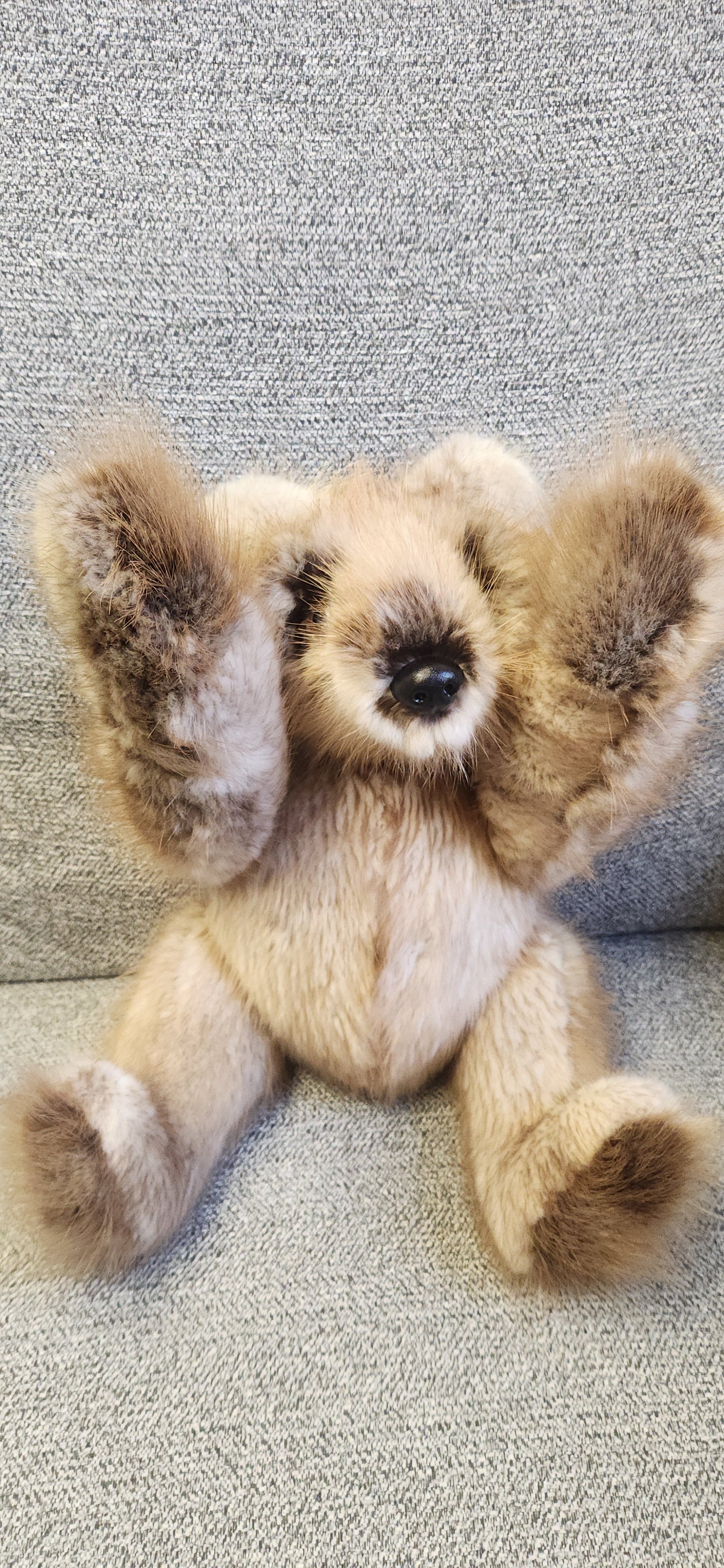 Light Beaver Fur Teddy Bear
